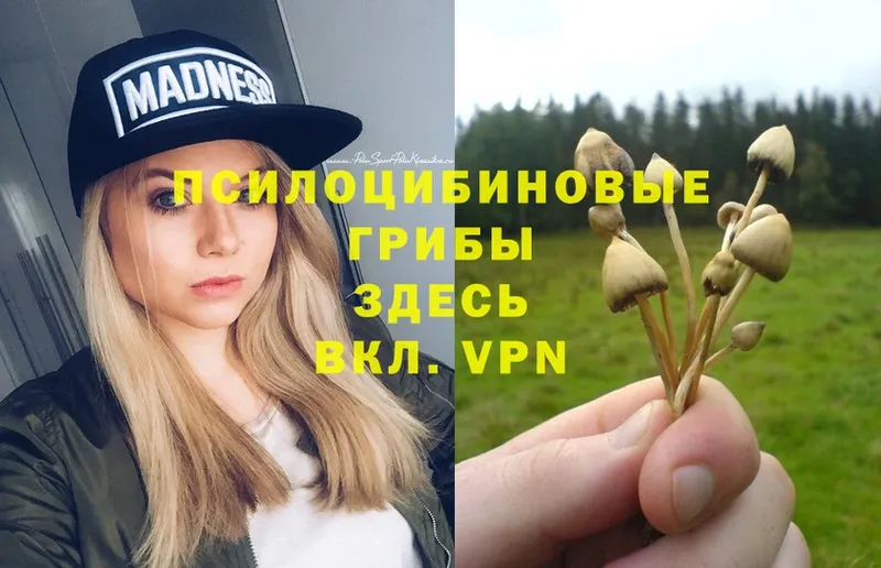 Галлюциногенные грибы Magic Shrooms  дарк нет Telegram  Печора  наркота 